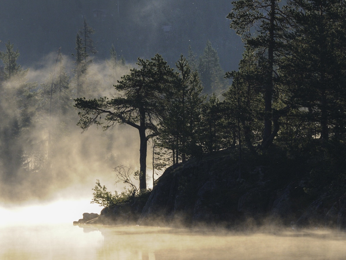 Foto av et tjern om morgenen.