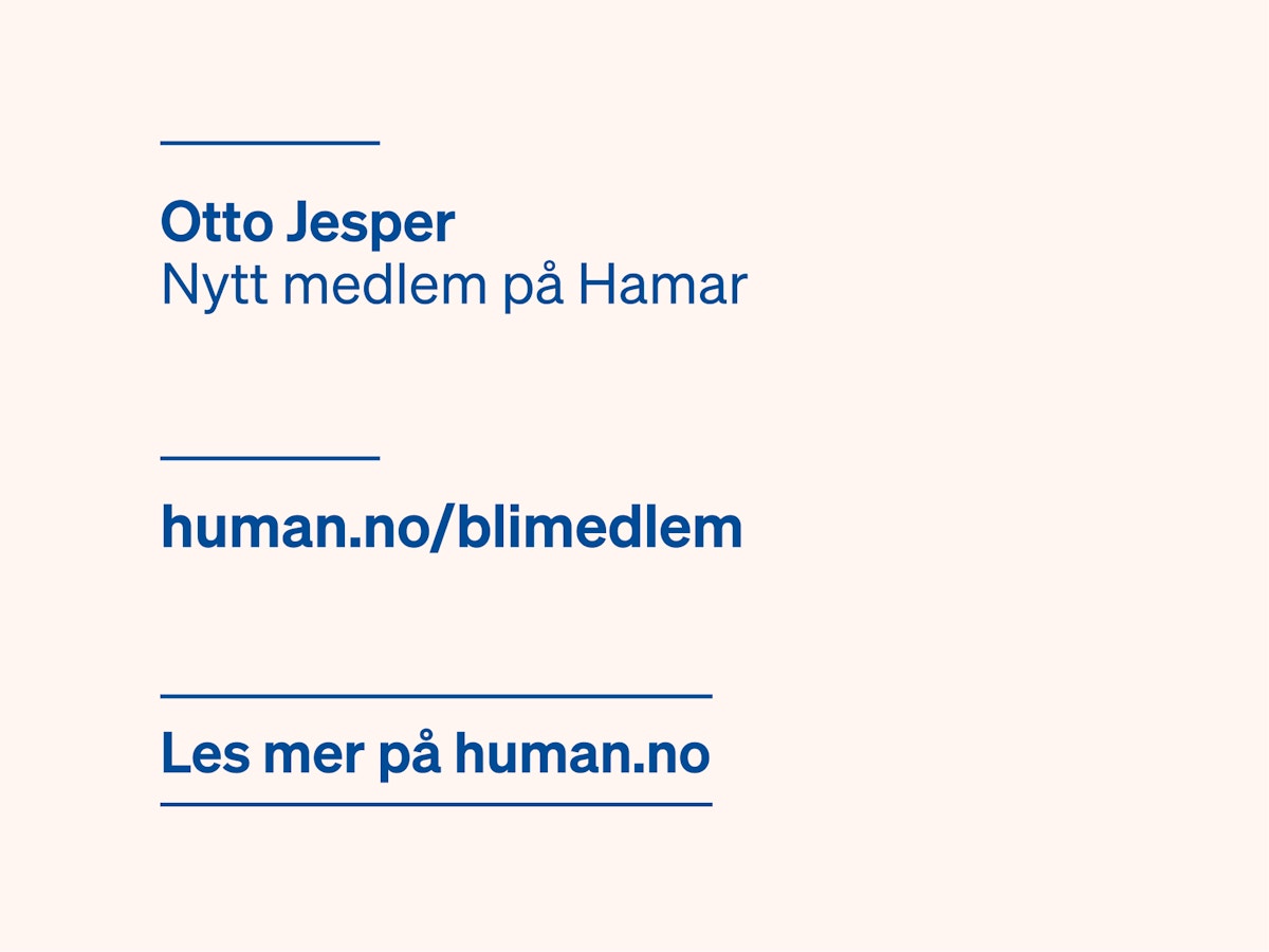 Eksempelbilde som viser hvordan vi bruker streker.