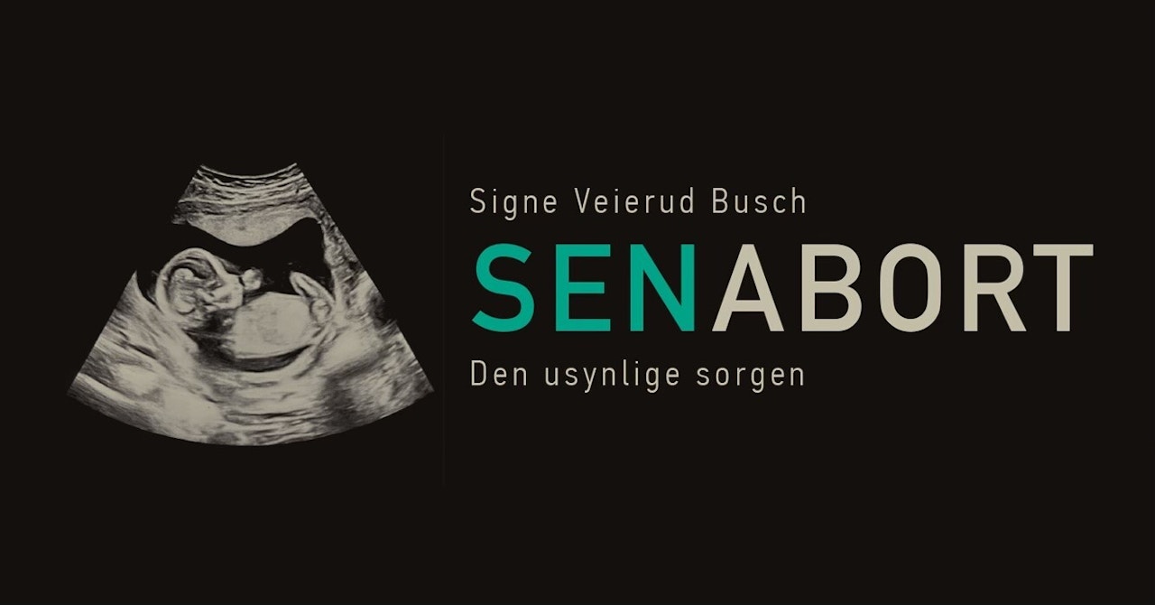 Omslagsbilde fra boka "Senabort. Den usynlige sorgen". Bildet er helt mørkt, med ultralydbilde av et foster.